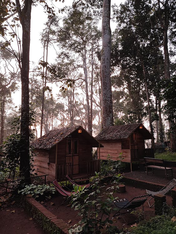 Wayanad Homestays