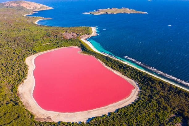 Pink Lake: A Turquoise Wonder