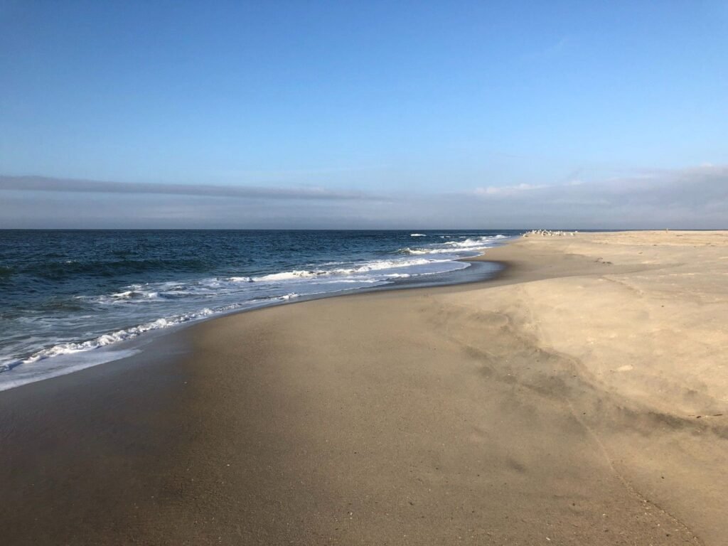 Cape May Point State Park Beach, New Jersey