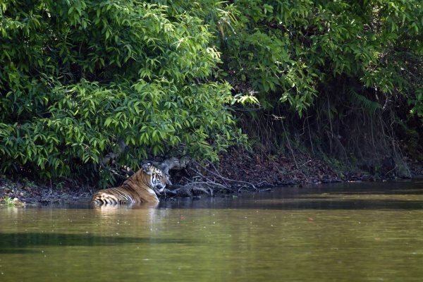 Darrah Wildlife Sanctuary, Kota, Rajasthan 