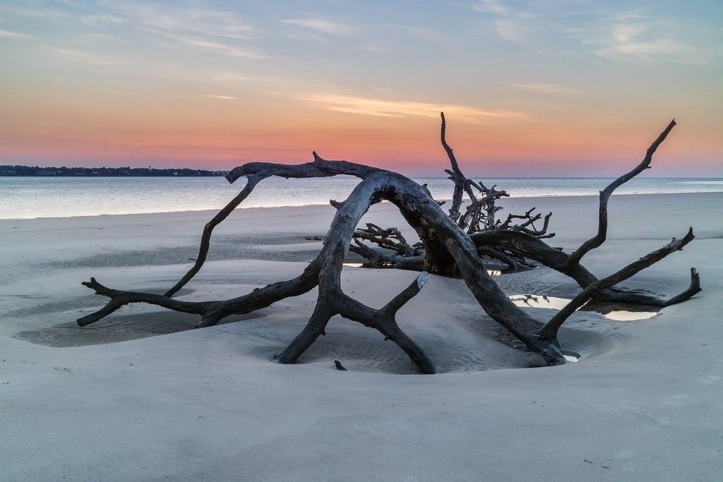 Driftwood Beach, Jekyll Island, Georgia