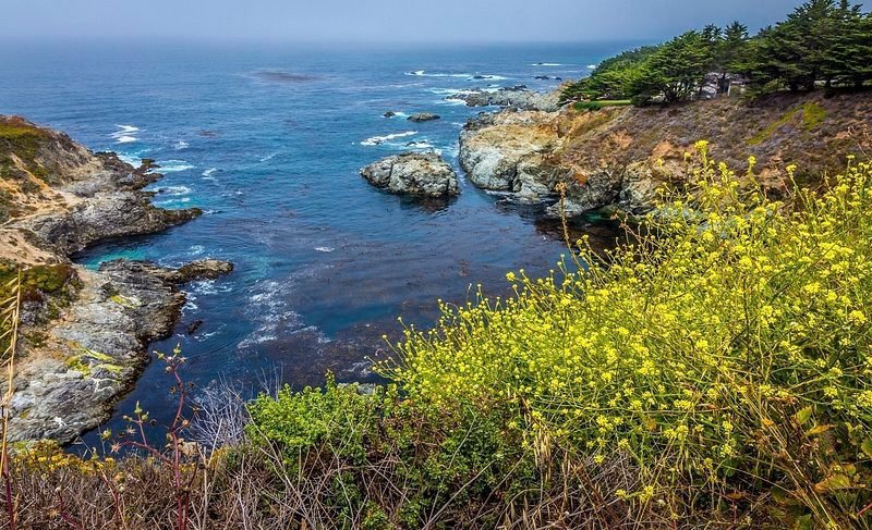 Rocky Coastlines USA’s Hidden Treasures