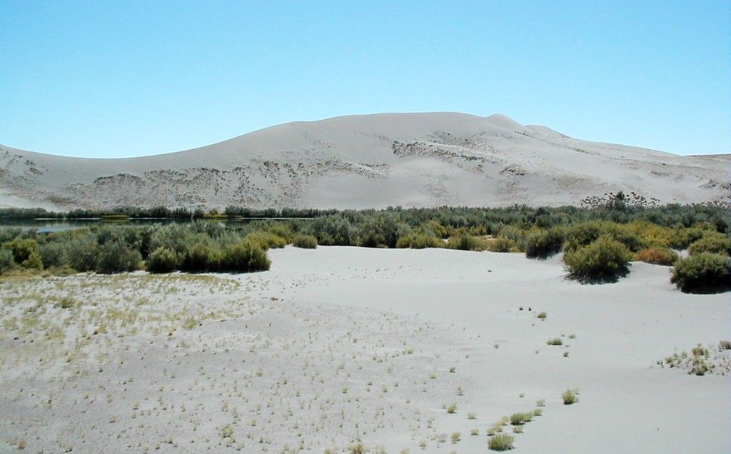 Bruneau Dunes State Park