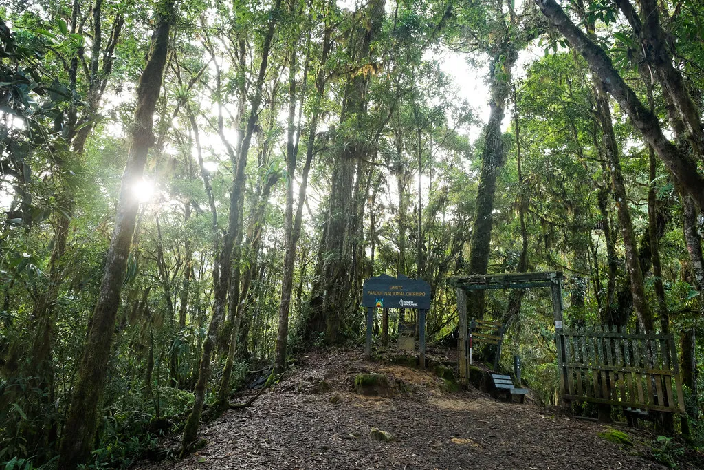 Chirripo National Park