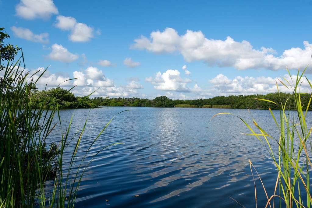 Everglades Natural Park