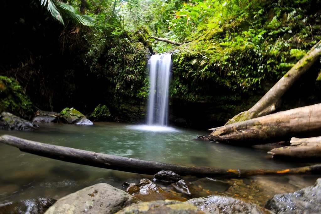 Juan Diego Falls 1