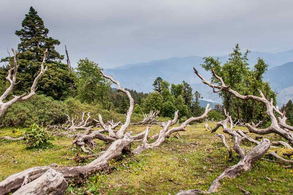 Kedarkantha Hike, India