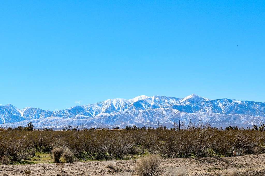 Mt Baldy