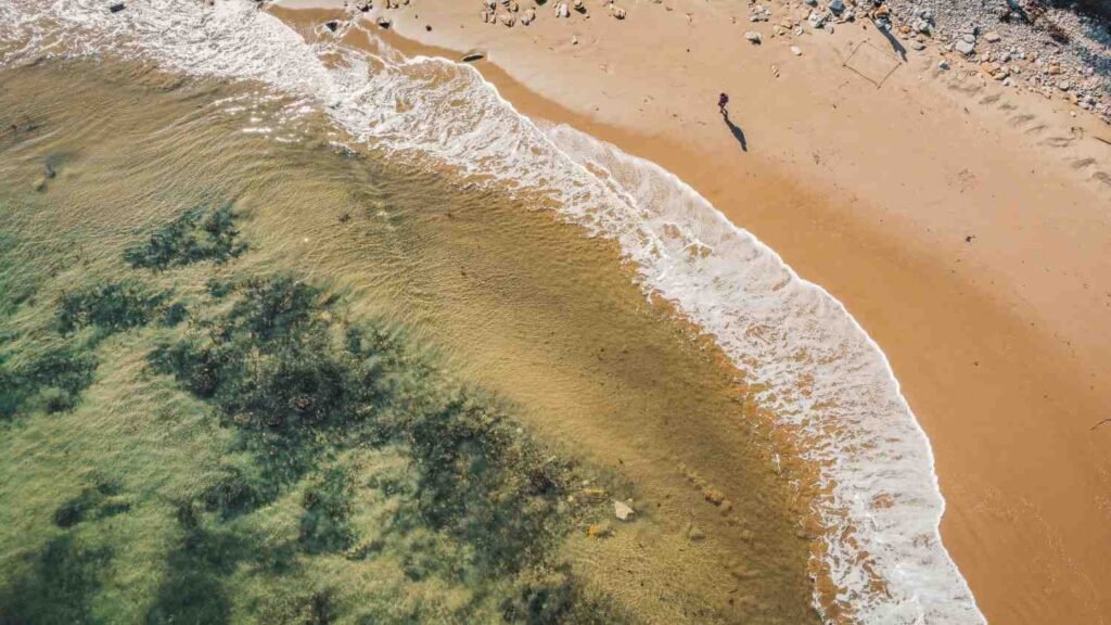 Refugio State Beach