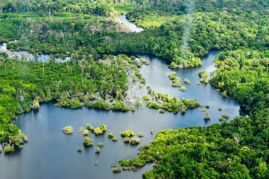 The Amazon Rainforest, Brazil