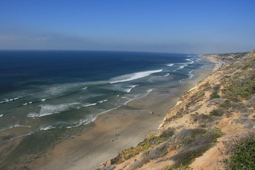 Torrey Pines State Beach