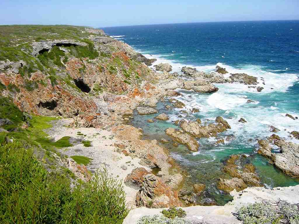 Whale Trail, South Africa