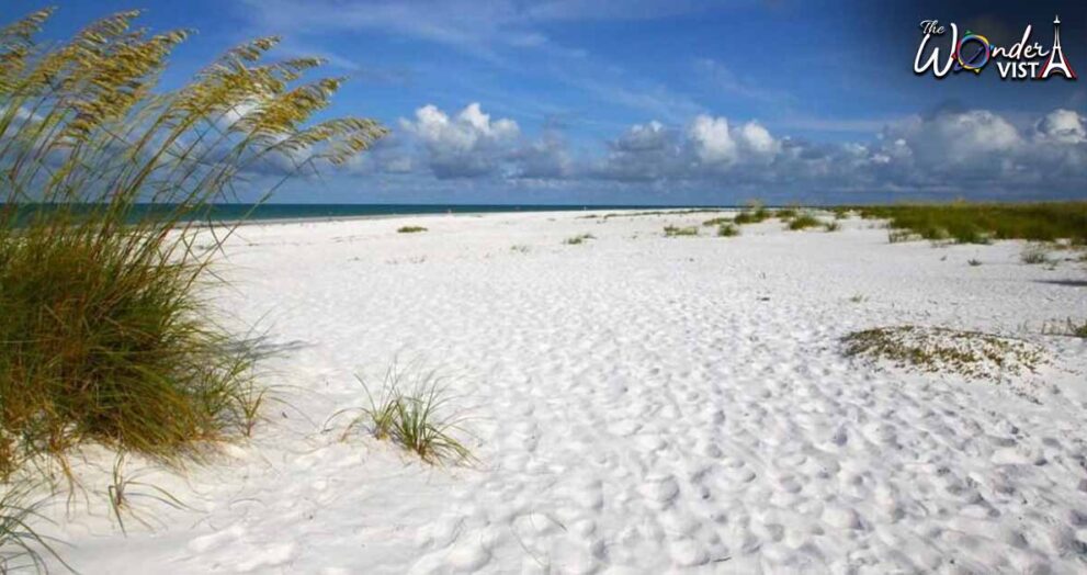 Bean Point Beach - Best Beaches on Anna Maria Island