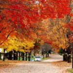 Best Places to Visit in Autumn in India