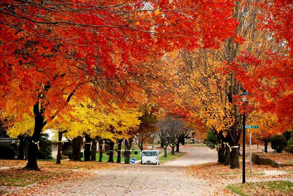 Best Places to Visit in the Fall in the World