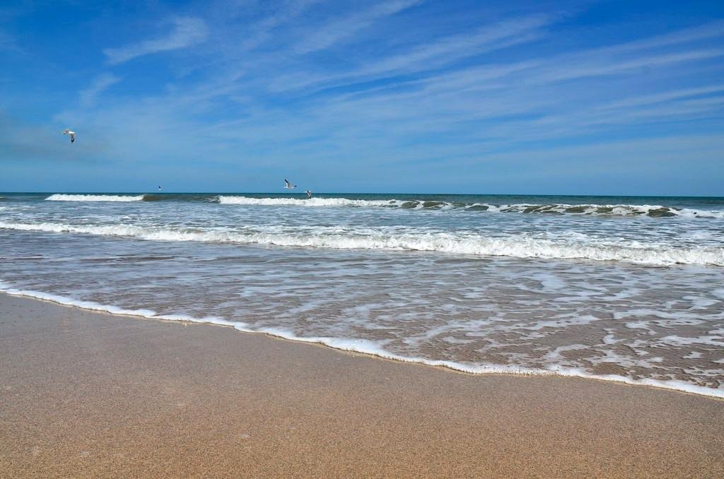 Canaveral National Seashore 