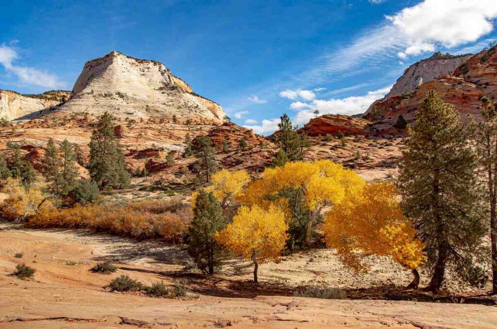 Fall in Zio National Park