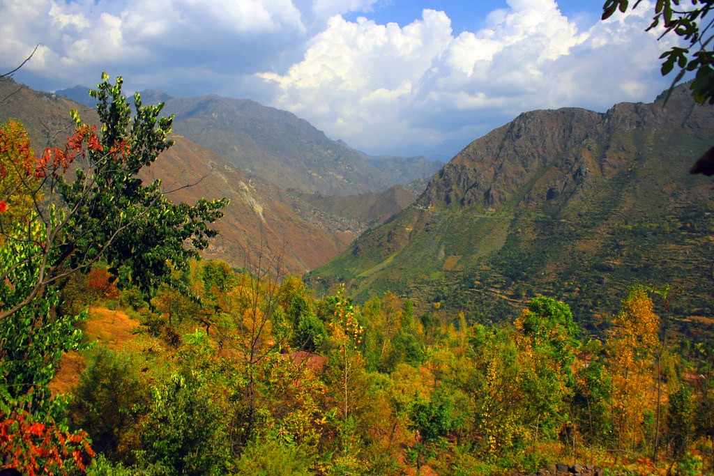 Kashmir Autumn