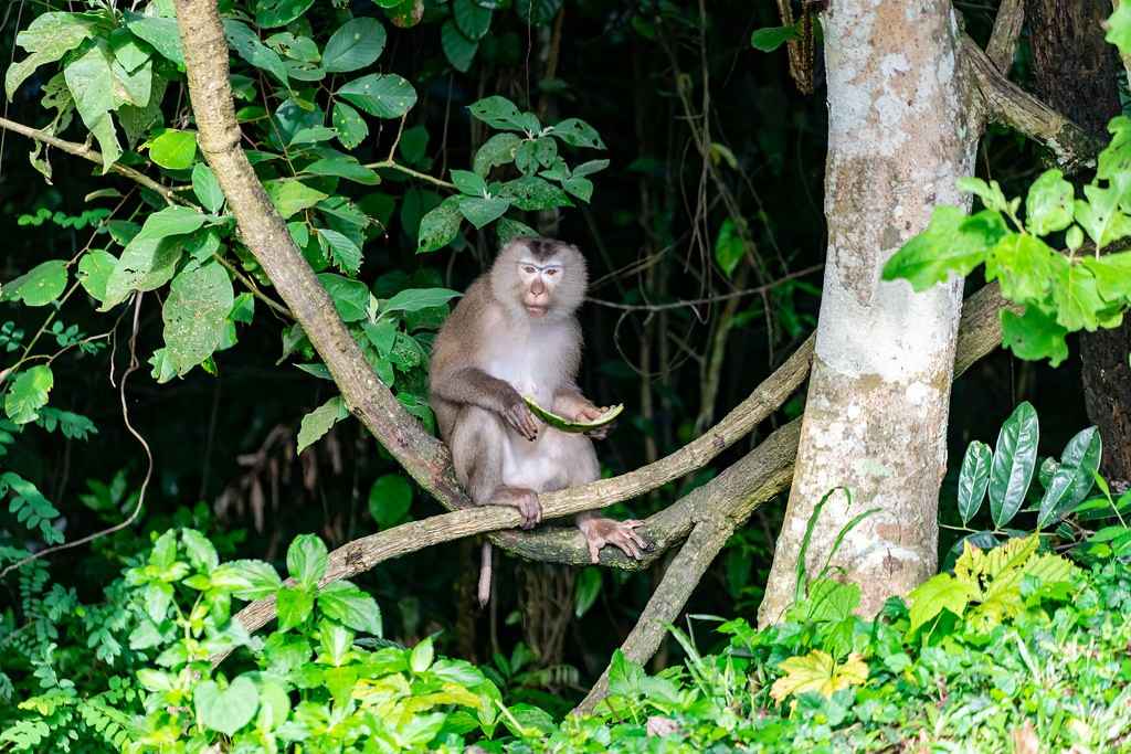 Khao Yai National Park