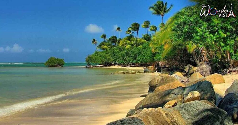 Most Exotic Places in the World - Puerto Rican beach