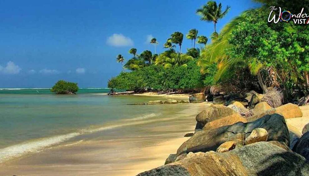 Most Exotic Places in the World - Puerto Rican beach