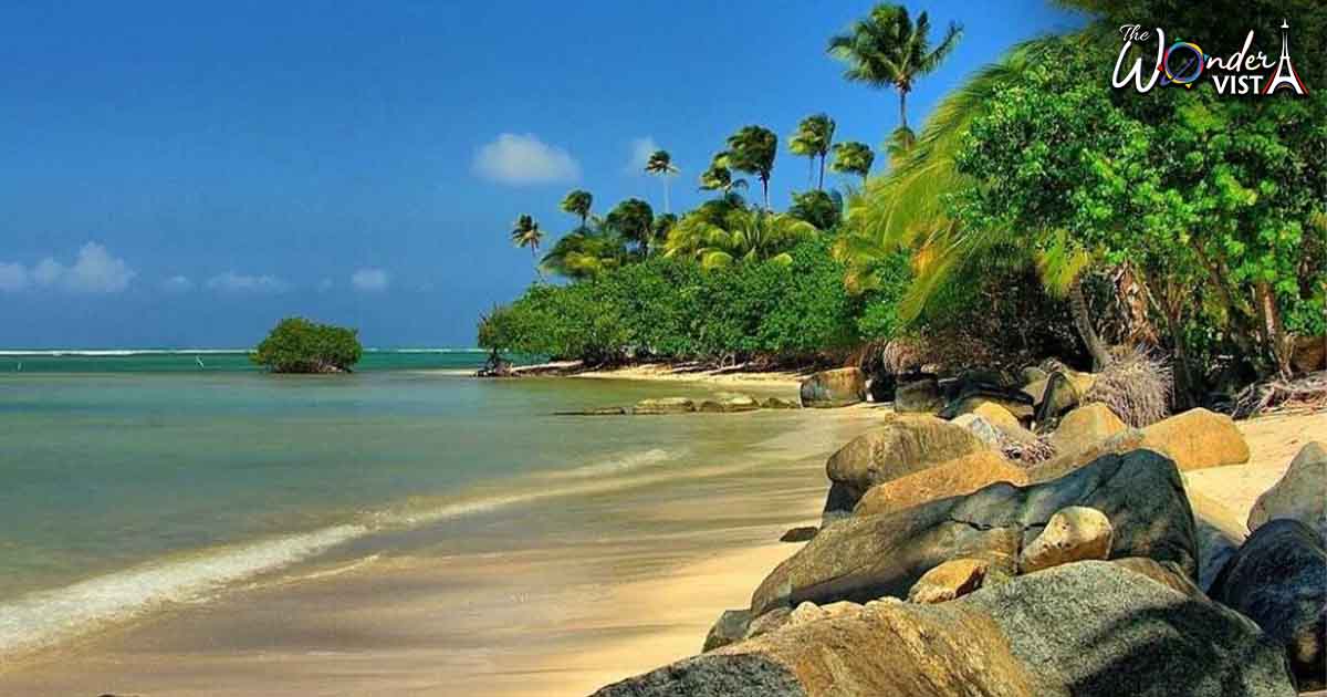 Most Exotic Places in the World - Puerto Rican beach