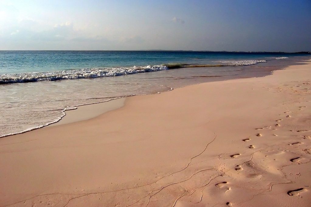 Pink Sands Beach