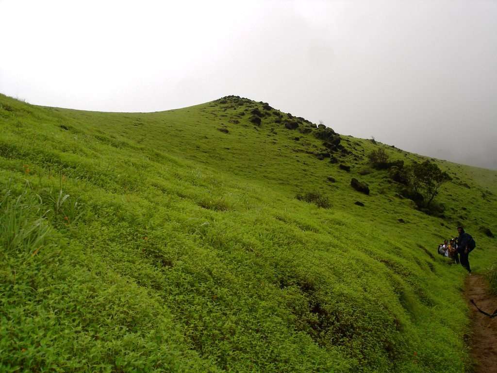 Tadiandamol Peak