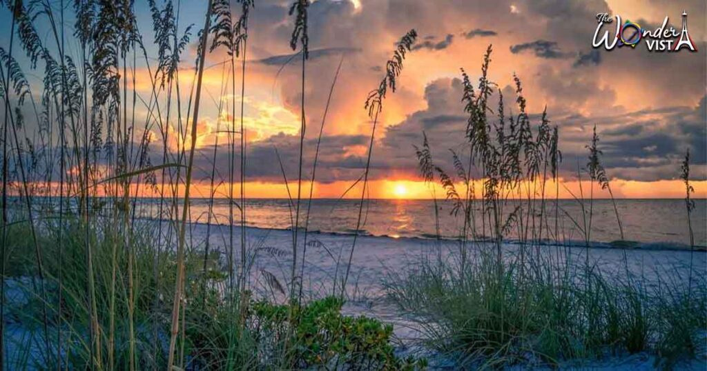 Bean Point Beach