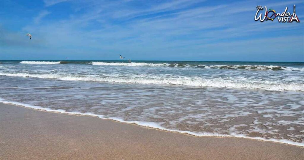 Canaveral National Seashore