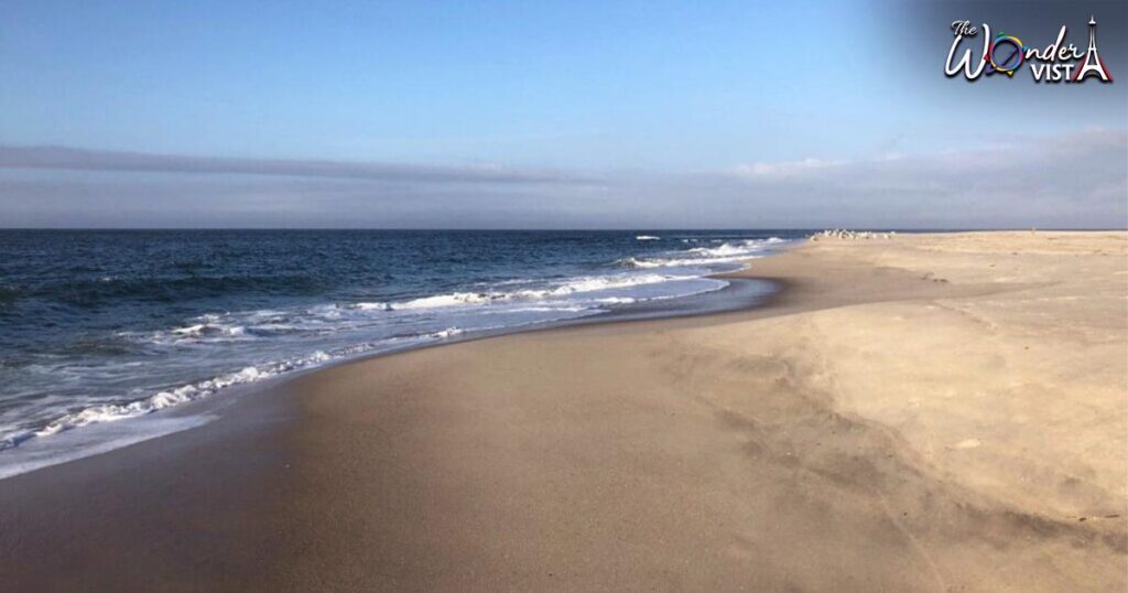 Cape May Point State Park Beach, New Jersey