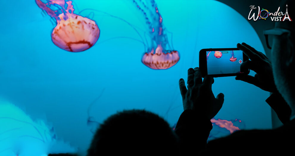 Capture the Magic - Visiting Monterey Bay Aquarium