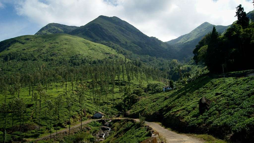 Chembra Peak, Western Ghats