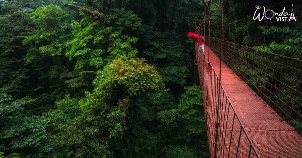 Monteverde Cloud Forest Reserve