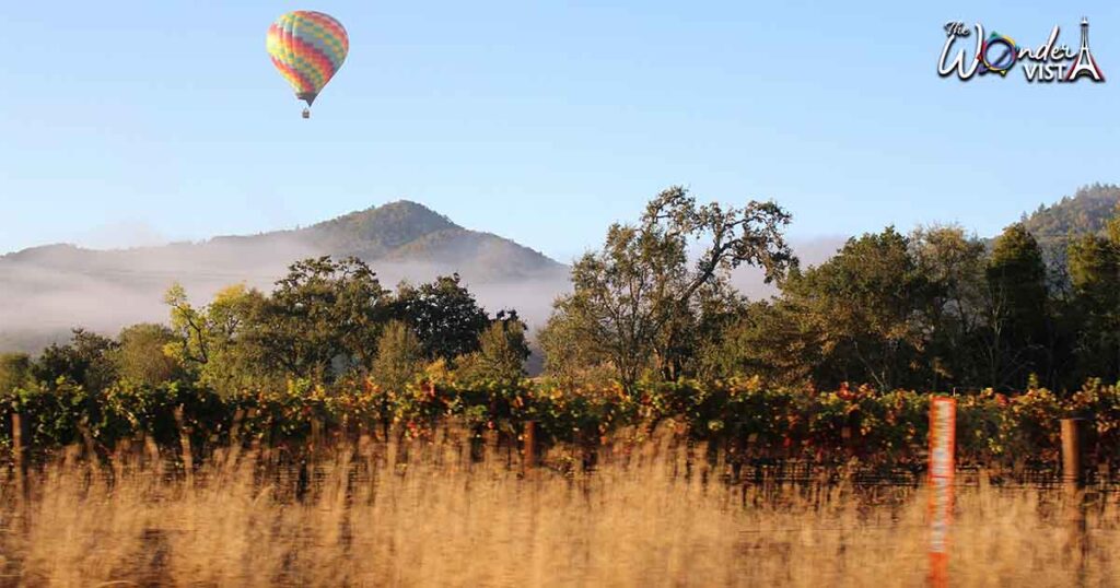 Napa Valley, California