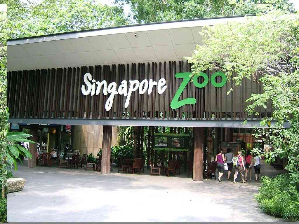 Singapore Zoo