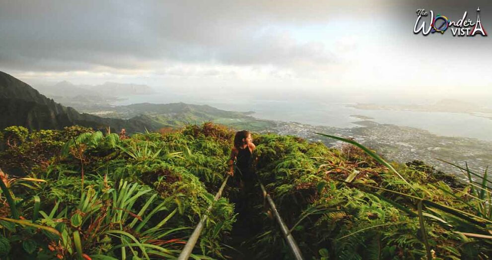 Stairway To Heaven Hawaii Hike