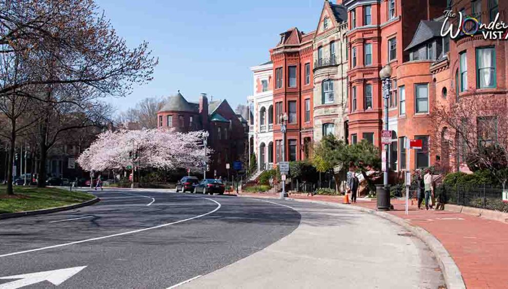 Washington DC - Best Places to Travel in March