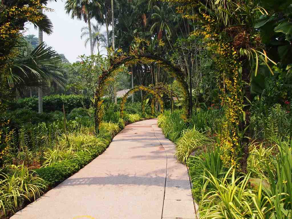 singapore botanic gardens