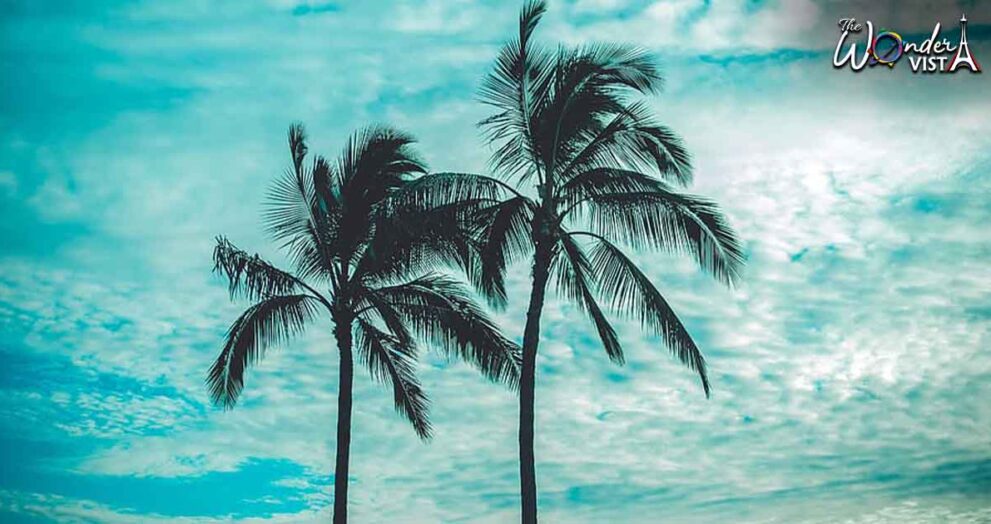 10 Best Things To Do In Oahu Hawaii