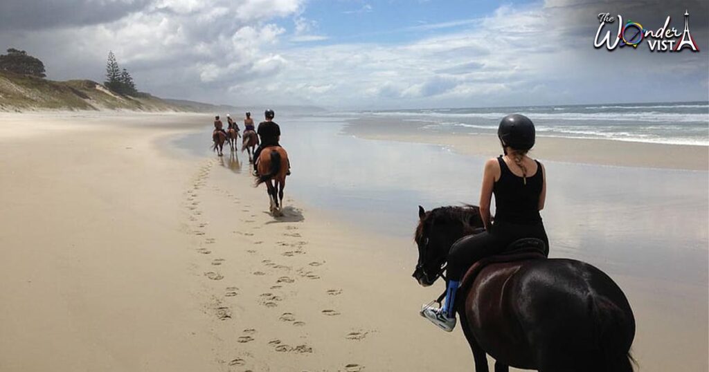 Go Horseback Riding on the Beach