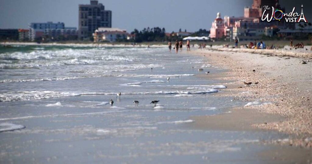 Pass-a-Grille Beach 