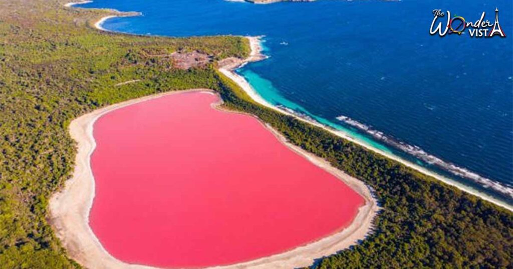 Pink Lake A Turquoise Wonder