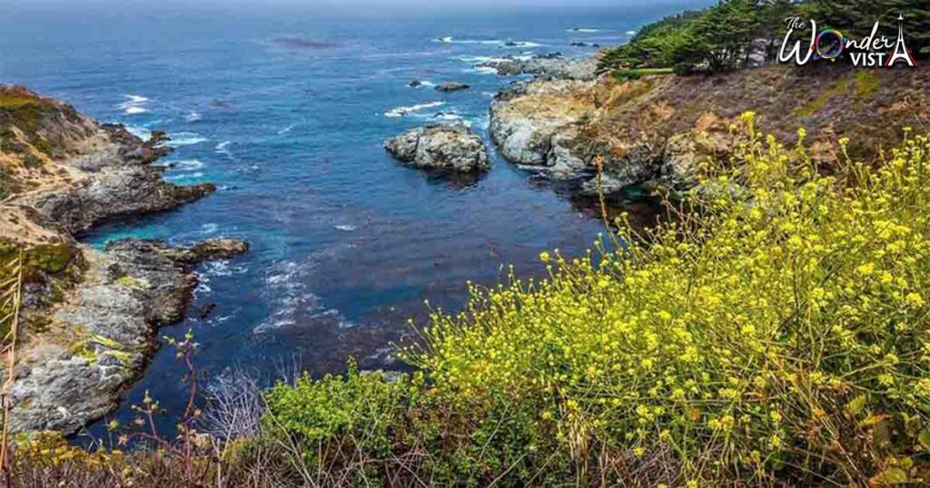 Rocky Coastlines USA’s Hidden Treasures