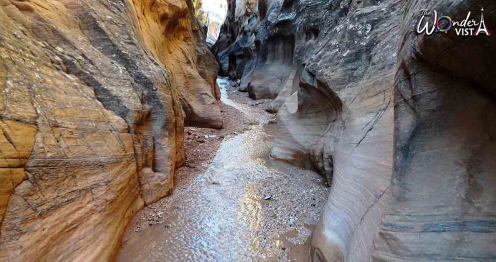 Willis Creek in Escalante - 10 Best Slot Canyons In Utah