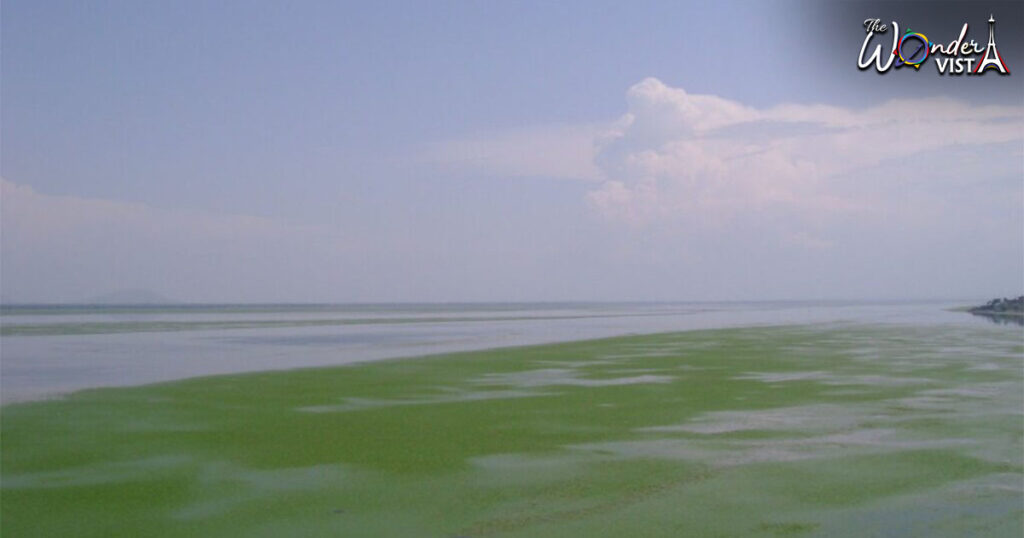 Wular Lake